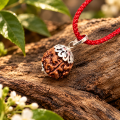 5 Mukhi Rudraksha Pendant Anti-Tarnish Silver-Plated (Lab Certified)