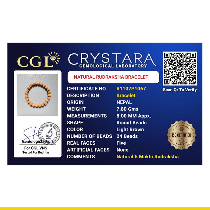 5 Mukhi Rudraksha Bracelet