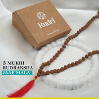 Natural 5-Mukhi Rudraksha Jaap Mala  8 mm 108+1 Beads
