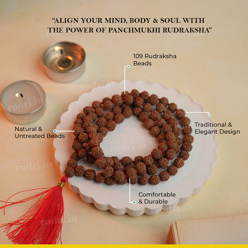 Natural 5-Mukhi Rudraksha Jaap Mala  8 mm 108+1 Beads