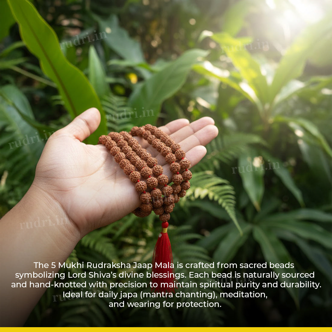 5 Mukhi Rudraksha Jaap Mala