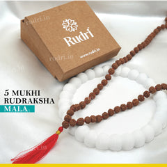 Natural 5-Mukhi Rudraksha Mala 6-7 mm 108+1 Beads