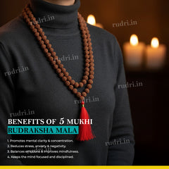 Natural 5-Mukhi Rudraksha Mala 6-7 mm 108+1 Beads